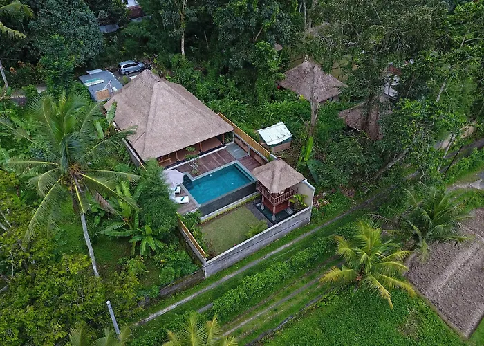 Bedauh By Manara Villa Ubud